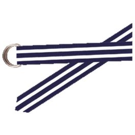 https://cablecarclothiers.com/wp-content/uploads/2018/12/BarronsHunter-Grosgrain-Belt-Navy-White.jpg