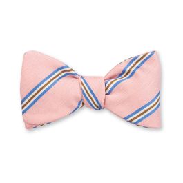 Falcon Bow Tie