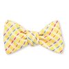 Cloverdale Stripes Bow Tie